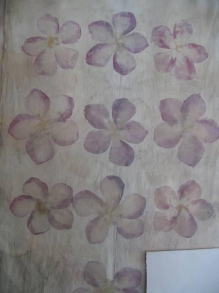 teinture fleurs 5 façons de créer du tissu personnalisé