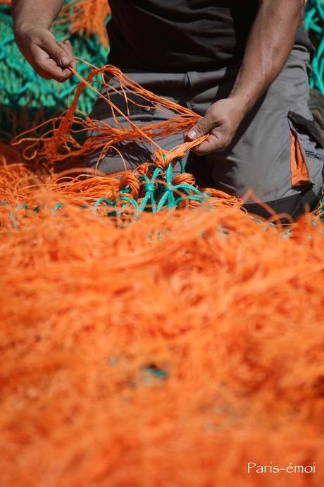 cotentin st-vaast 3192nA