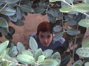 Neue Grafik Lars (Video)