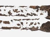 Freitag lance gamme vêtements éco-responsable