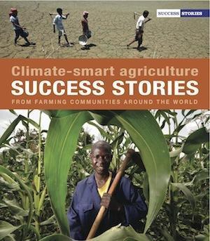 Les success stories de l'agriculture intelligente face au climat !