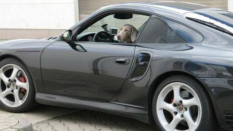 Photo (c) Mike Roberts