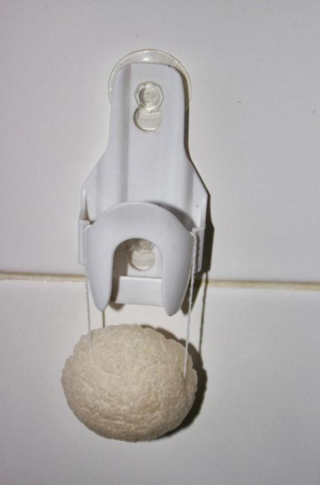 Mes armes beauté: Les brosses à visage et l' éponge konjac