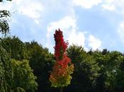 Postcard from Frankveld Park