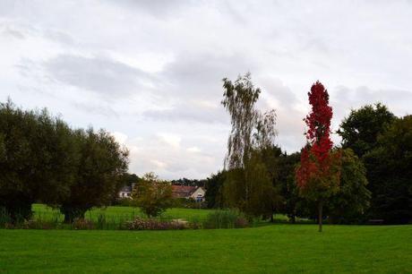 Postcard from the Frankveld Park Postcard from the Frankveld park 1