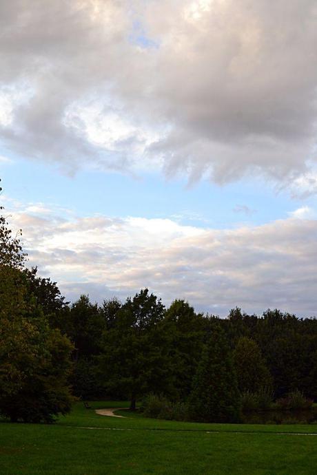 Postcard from the Frankveld Park Postcard from the FRANKVELD PARK