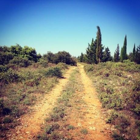 Promenade sur les hauteurs de Roquemaure