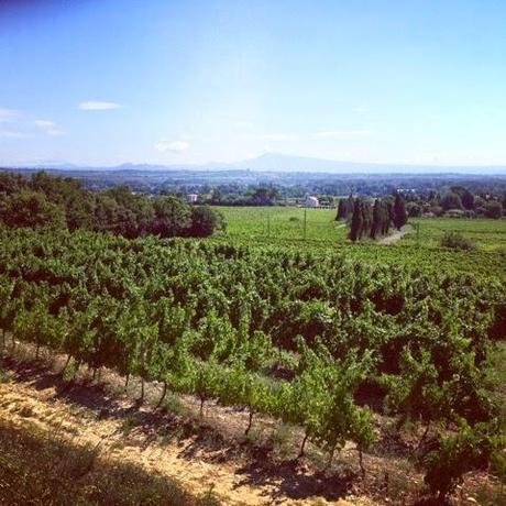 Promenade sur les hauteurs de Roquemaure