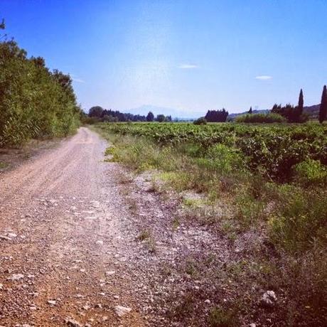 Promenade sur les hauteurs de Roquemaure
