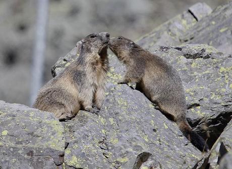 ce qui devait arriver . . . arriva