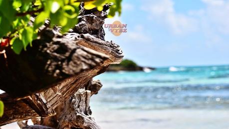 GUADELOUPE FRENCH WEST INDIES (#urbanvybz #couleurcréole)