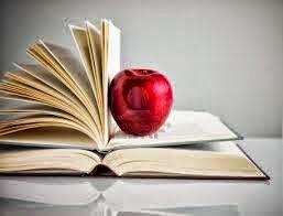 Les voleurs d'âmes, tome 5: Survivante