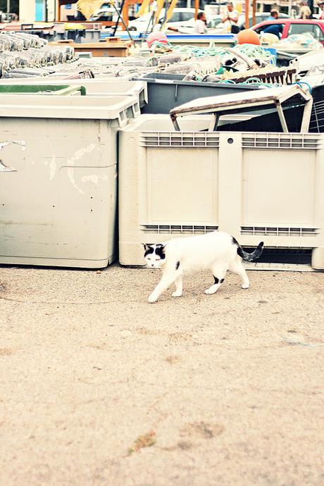 port de saint cyprien blog mode voyage vanessa bruno h m