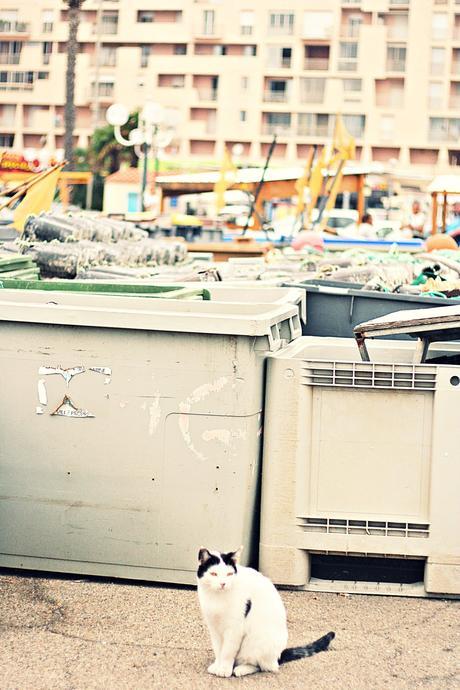 port de saint cyprien blog mode voyage vanessa bruno h m