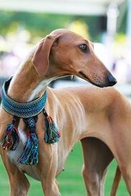 505ad4c0064d4001d89e93139d74faf8