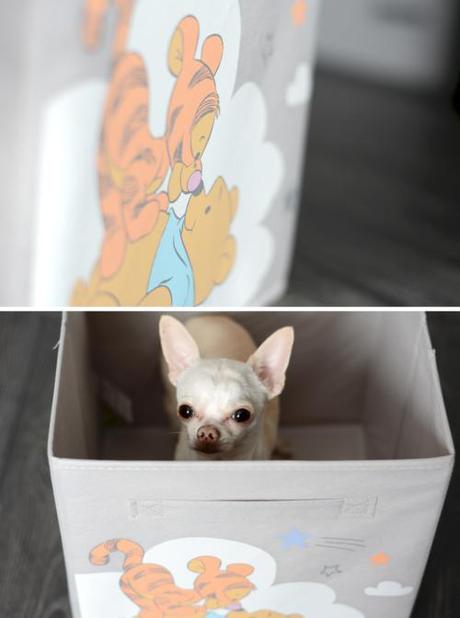 Un coffre à jouets mignon et pas cher pour votre chien KIABI - Howard le chichi blogueur