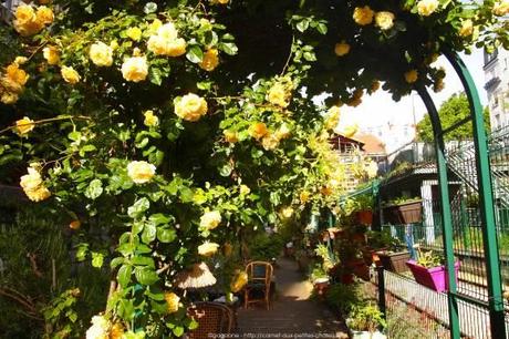 Jardins-du-Ruisseau-Petite-Ceinture-18eme10_gagaone