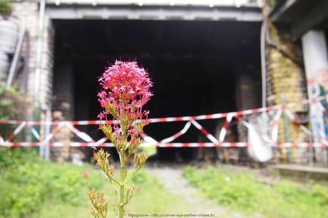 Jardins-du-Ruisseau-Petite-Ceinture-18eme55_gagaone