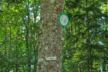 Bienvenue chez Anne Verjus