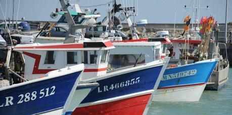 La Rochelle : 600 bateaux seront stockés au port à sec en 2015