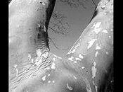 Daphné Bitchatch lettres vers là-bas