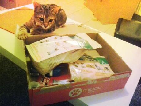 miaoubox 1 lovely summer