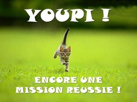 chaton youpi encore une mission réussie