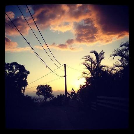 (c) D'une Ile à Paris <script type=