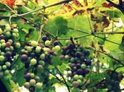 soleil désormais brûle plus