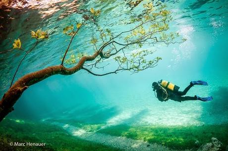 Le Photographe Marc Henauer immortalise un parc inondé par les eaux.