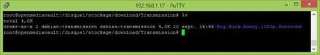 04.CouchPotato_transmission_CLI_Putty