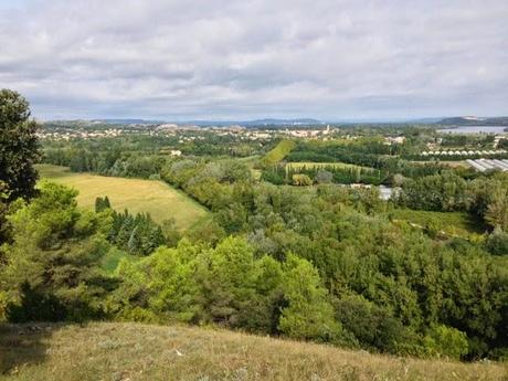 Gard des bords du Rhône après la pluie