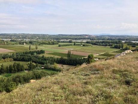 Gard des bords du Rhône après la pluie