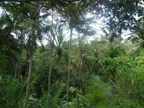 Goa Gajah ubud