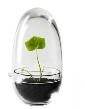 taureau design house of stockholm mini serre