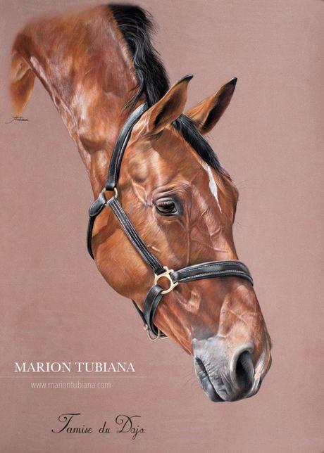 Tubiana Marion – Magnifiques Pastels cheval