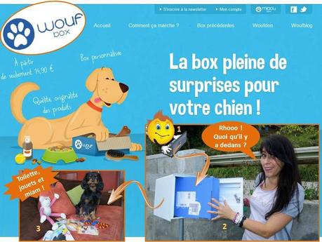 Blog test woufbox box pour chien 1