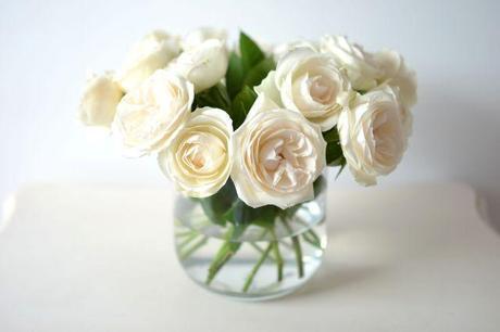 Sunday reading and white roses 2
