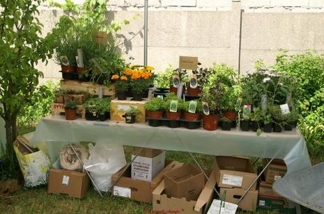 Les mains de jardins