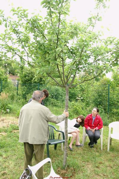 Les mains de jardins