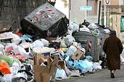 Les poubelles de supermarché.
