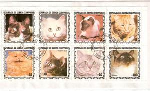 Poème libre : Un chat