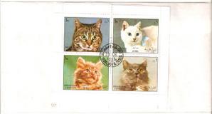 Poème libre : Un chat