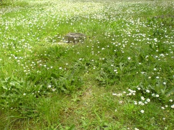 Clic-clac: Retour aux sources