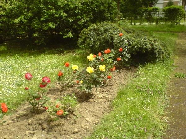 Clic-clac: Retour aux sources