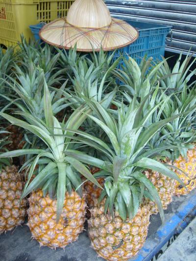 Blog de taiwaninside : Taiwan, vue de l'intérieur, Fruits de saison