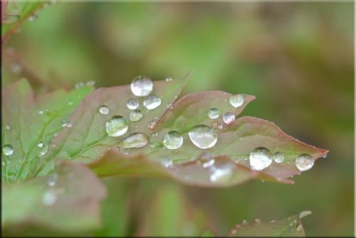 Randonnée sur la voie de « l’EAU-dace »