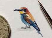 cartes postales pour fourmis