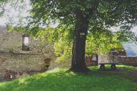 L’Alsace, entre grotte et château ! Chateau de Ferrette