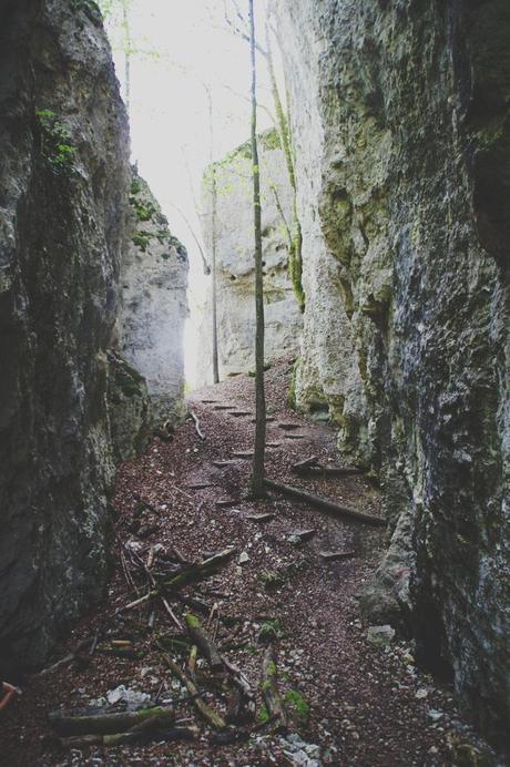 L’Alsace, entre grotte et château ! Grotte des Nains
